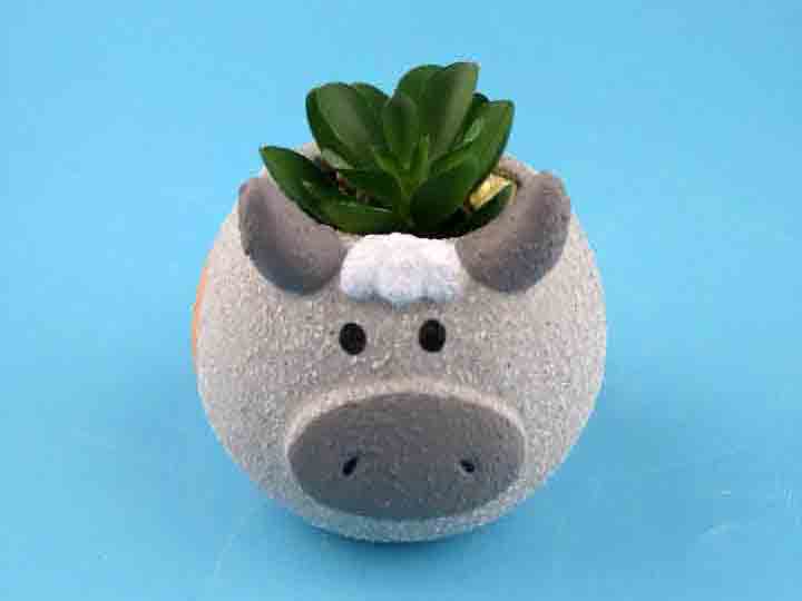 Ceramic Cache Pot with Succulent